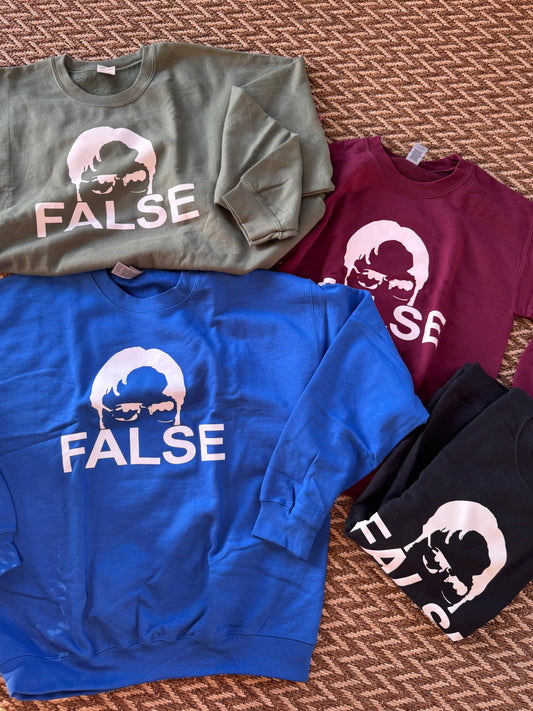 FALSE Sweatshirt (The Office)
